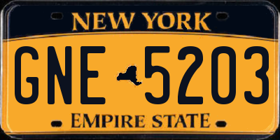 NY license plate GNE5203