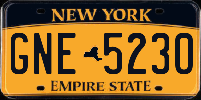 NY license plate GNE5230