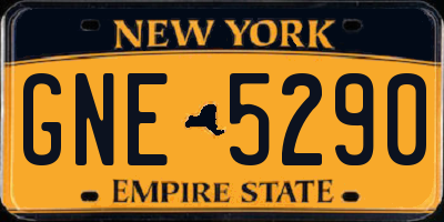 NY license plate GNE5290