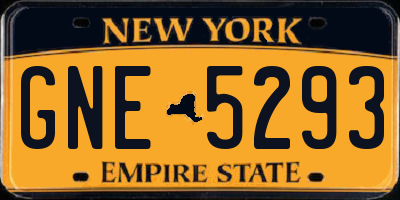 NY license plate GNE5293