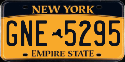 NY license plate GNE5295