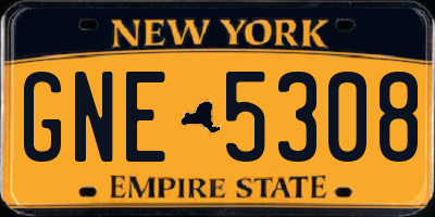 NY license plate GNE5308