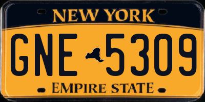 NY license plate GNE5309