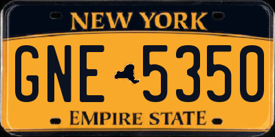 NY license plate GNE5350