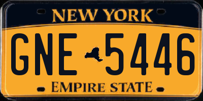 NY license plate GNE5446