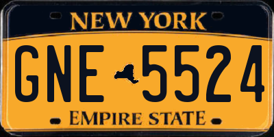 NY license plate GNE5524