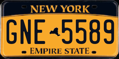 NY license plate GNE5589