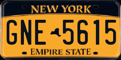 NY license plate GNE5615
