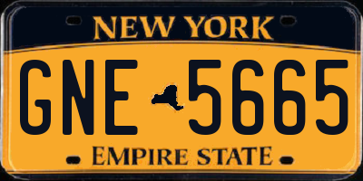 NY license plate GNE5665