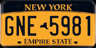NY license plate GNE5981