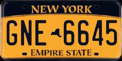 NY license plate GNE6645