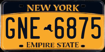 NY license plate GNE6875
