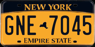 NY license plate GNE7045