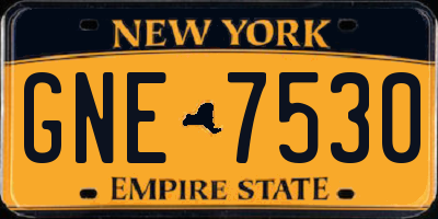 NY license plate GNE7530