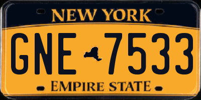 NY license plate GNE7533