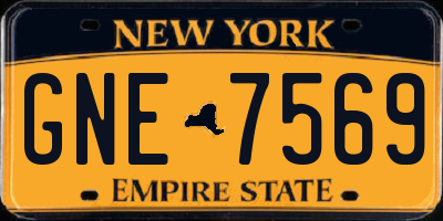 NY license plate GNE7569