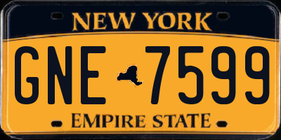 NY license plate GNE7599