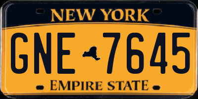 NY license plate GNE7645