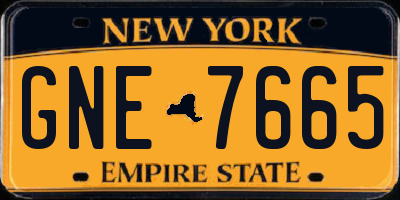 NY license plate GNE7665