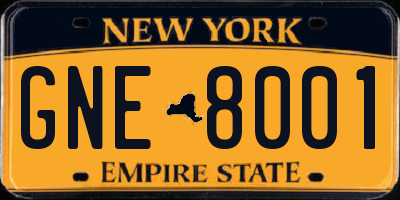 NY license plate GNE8001