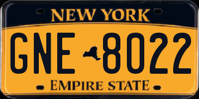 NY license plate GNE8022
