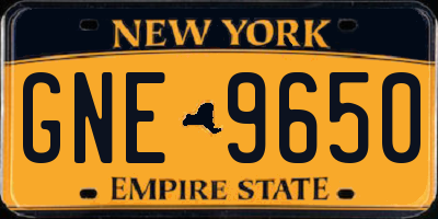 NY license plate GNE9650
