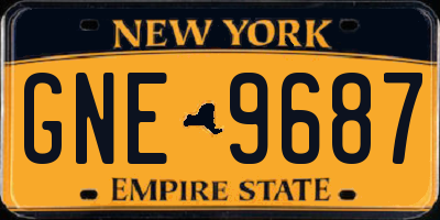 NY license plate GNE9687