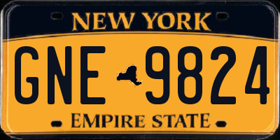 NY license plate GNE9824