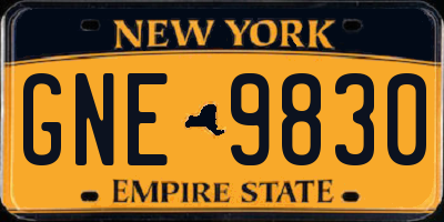 NY license plate GNE9830