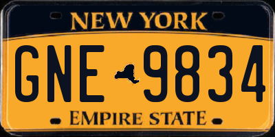 NY license plate GNE9834