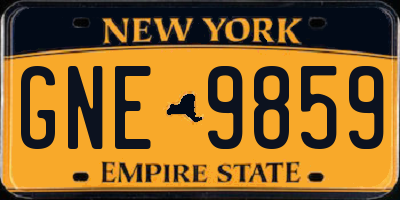NY license plate GNE9859