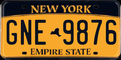 NY license plate GNE9876