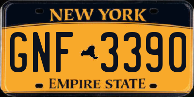 NY license plate GNF3390