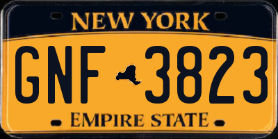 NY license plate GNF3823