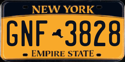 NY license plate GNF3828
