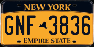 NY license plate GNF3836