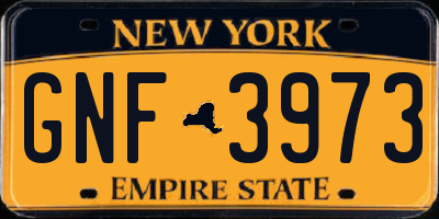 NY license plate GNF3973