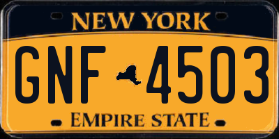 NY license plate GNF4503