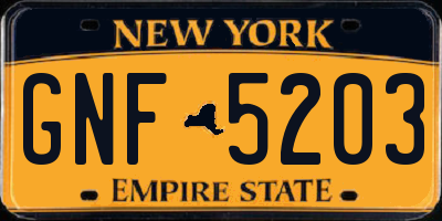 NY license plate GNF5203