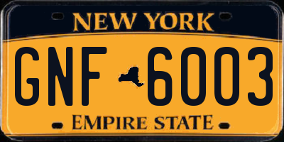 NY license plate GNF6003