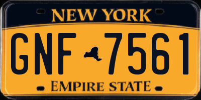 NY license plate GNF7561