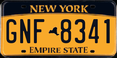 NY license plate GNF8341