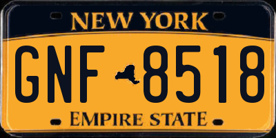 NY license plate GNF8518