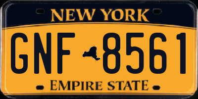 NY license plate GNF8561