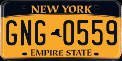 NY license plate GNG0559