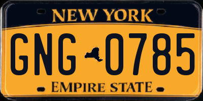 NY license plate GNG0785