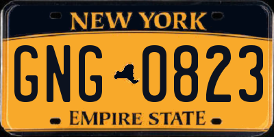 NY license plate GNG0823