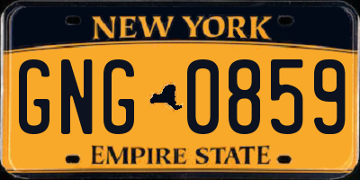 NY license plate GNG0859