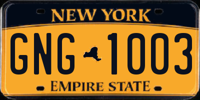 NY license plate GNG1003