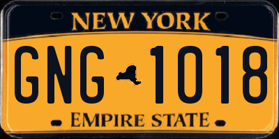NY license plate GNG1018
